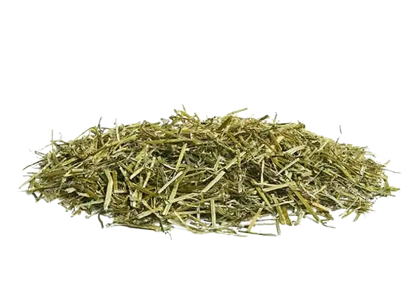 الفارومي باور70